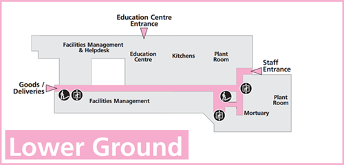Lower ground floor